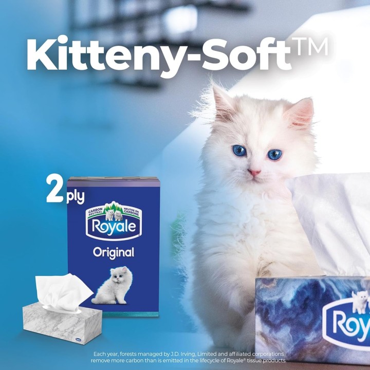 Royale Original 2 Ply Facial Tissue, 6 Tissue Boxes, 126 Tissues per Box