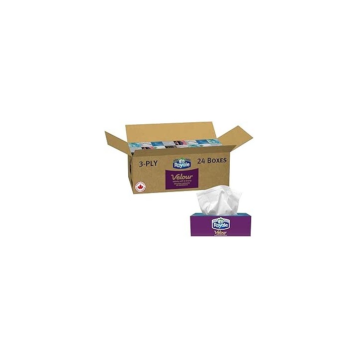 Royale Velour 3 Ply Facial Tissue, 24 Tissue Boxes, 72 Tissues per Box