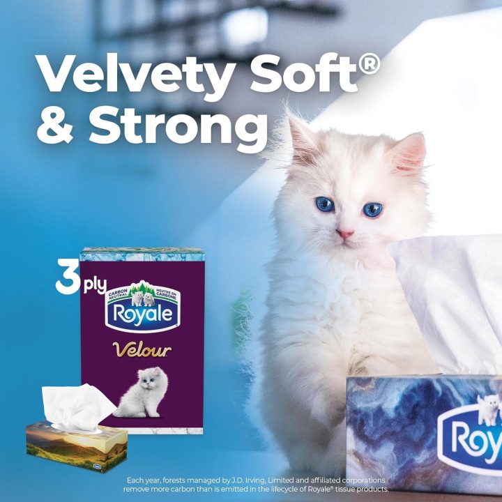 Royale Velour 3 Ply Facial Tissue, 24 Tissue Boxes, 72 Tissues per Box