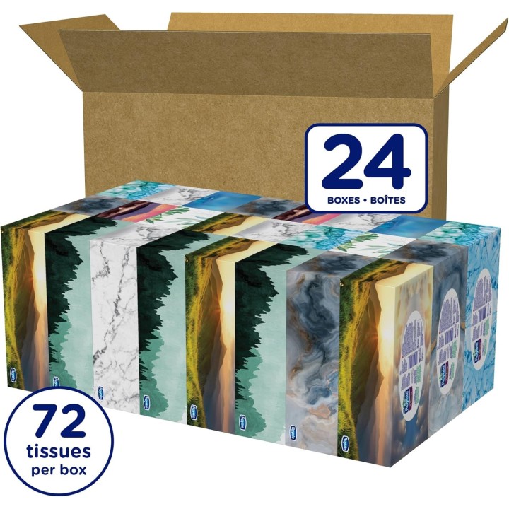 Royale Velour 3 Ply Facial Tissue, 24 Tissue Boxes, 72 Tissues per Box